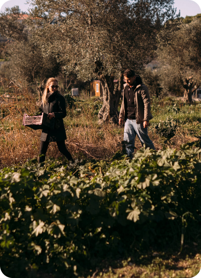 Bram Klinge & Vino Locale