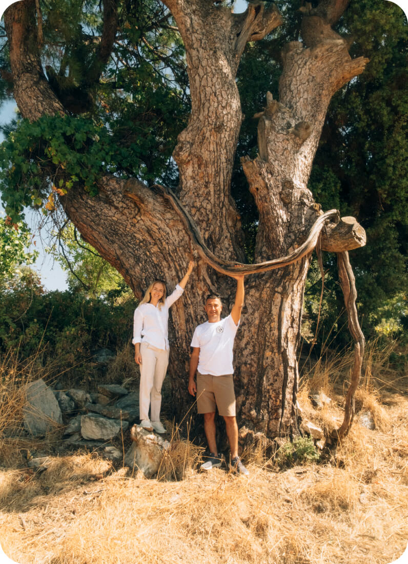Neferiye Bodrum & Vino Locale