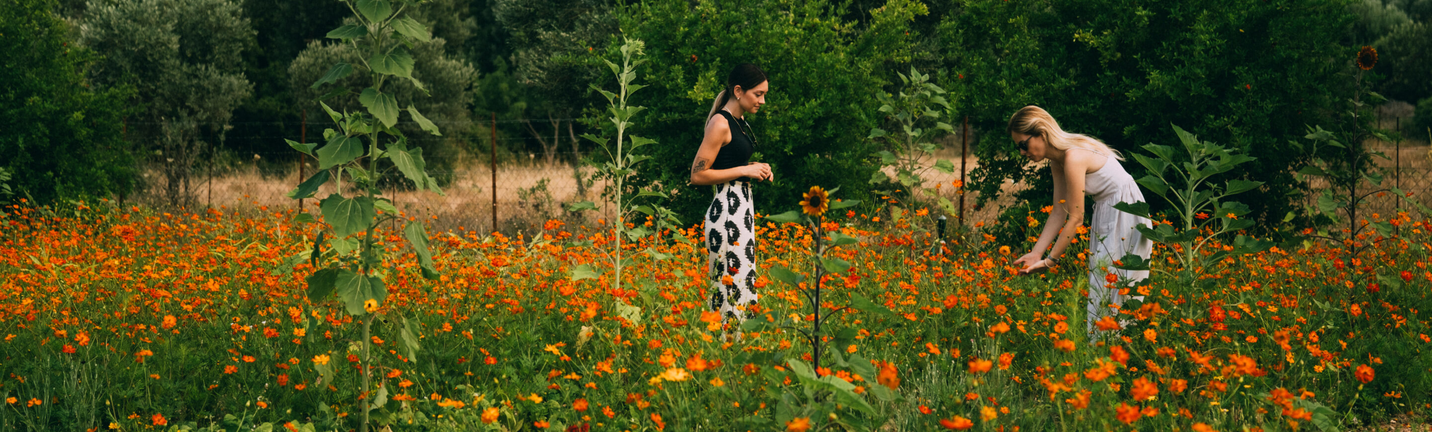 Edible flowers